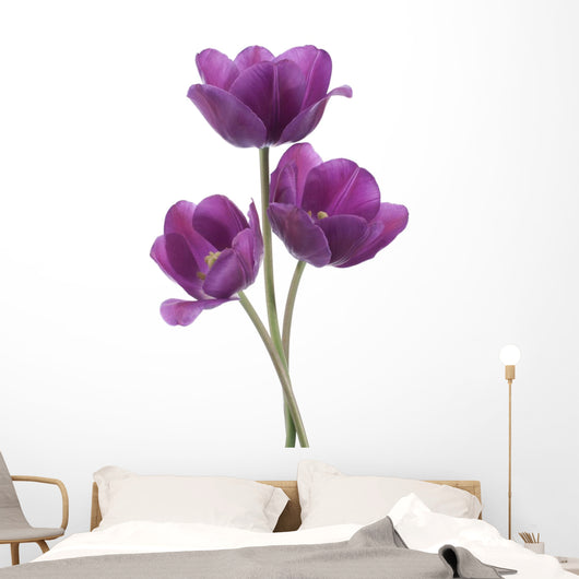 tulip Wall Decal