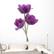 tulip Wall Decal