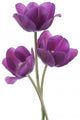 tulip Wall Decal