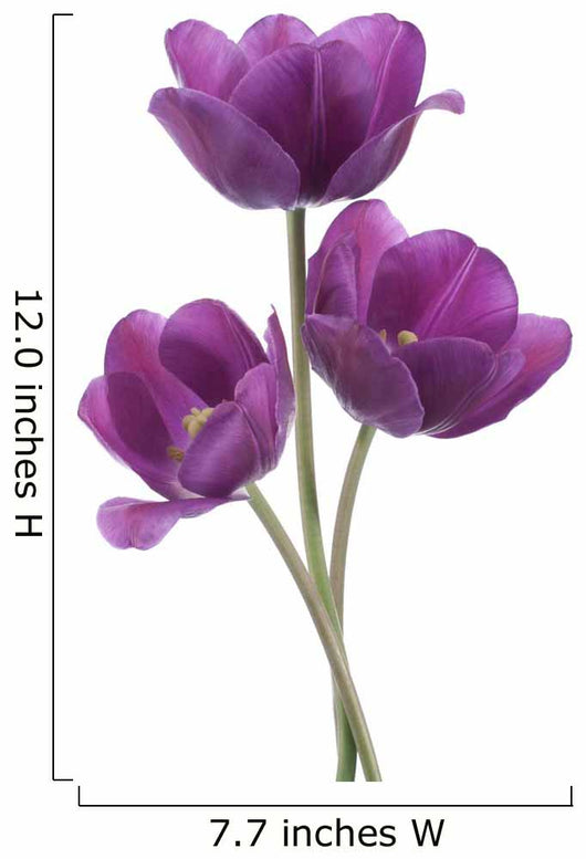 tulip Wall Decal