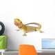 Bearded Dragon Wall Decal