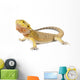 Bearded Dragon Wall Decal