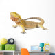Bearded Dragon Wall Decal