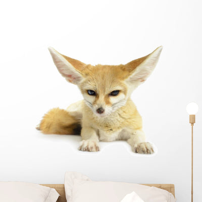 Fennec Fox Wall Decal shown on a wall