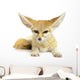Fennec Fox Wall Decal