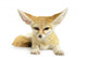 Fennec Fox Wall Decal