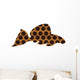 Leopard pleco - freshwater aquarium fish Wall Decal