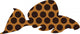 Leopard pleco - freshwater aquarium fish Wall Decal