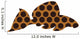 Leopard pleco - freshwater aquarium fish Wall Decal
