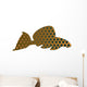 Leopard pleco - aquarium fish Wall Decal