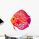 Red Leopard Discus Fish Wall Decal