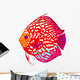 Red Leopard Discus Fish Wall Decal