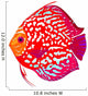 Red Leopard Discus Fish Wall Decal