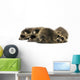 Young Racoons Wall Decal