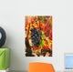 Grapes and bright red autumn grape leaves in the vineyard Wall Mural