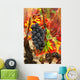 Grapes and bright red autumn grape leaves in the vineyard Wall Mural