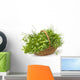 Basket of Herbs Wall Decal