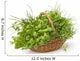 Basket of Herbs Wall Decal