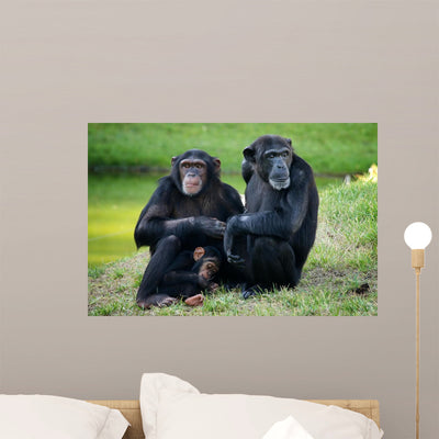 Happy Family Wall Mural shown on a wall