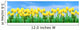 Banner with tulips Wall Mural