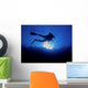 Scuba diver from below Wall Mural