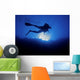 Scuba diver from below Wall Mural
