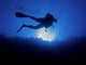 Scuba diver from below Wall Mural
