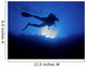 Scuba diver from below Wall Mural