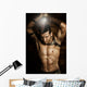 Spartaner Wall Mural