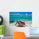 Green Turtle Caribbean Sea Wall Mural