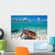 Green Turtle Caribbean Sea Wall Mural