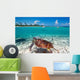 Green Turtle Caribbean Sea Wall Mural