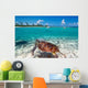 Green Turtle Caribbean Sea Wall Mural