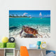 Green Turtle Caribbean Sea Wall Mural