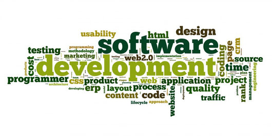 Software development concept in tag cloud Wall Decal