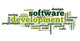 Software development concept in tag cloud Wall Decal