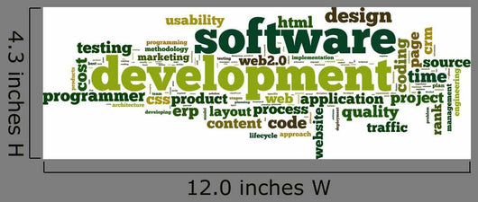 Software development concept in tag cloud Wall Decal