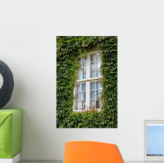 Window