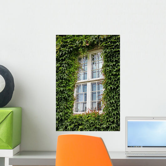 Window