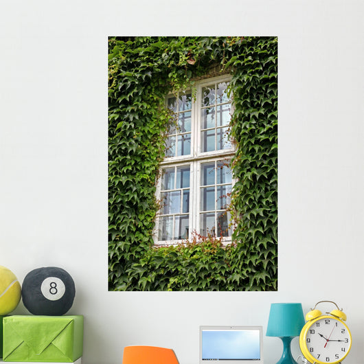 Window