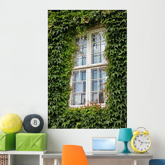 Window