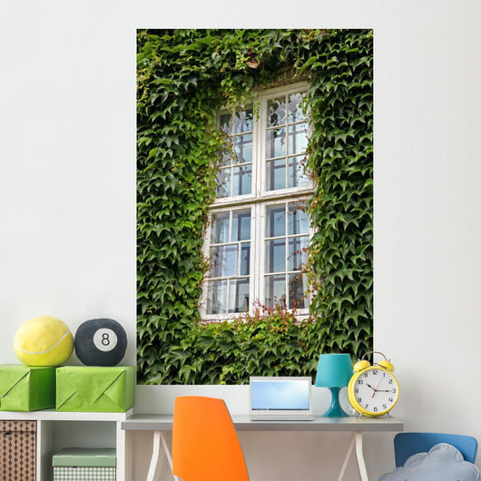 Window