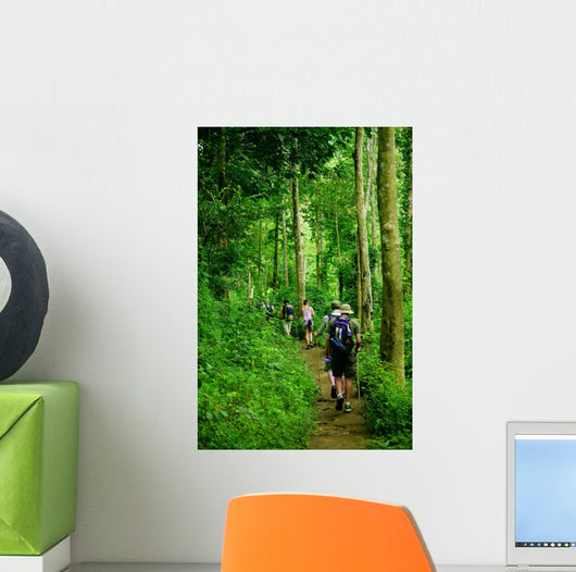 Jungle trek Wall Mural