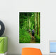 Jungle trek Wall Mural