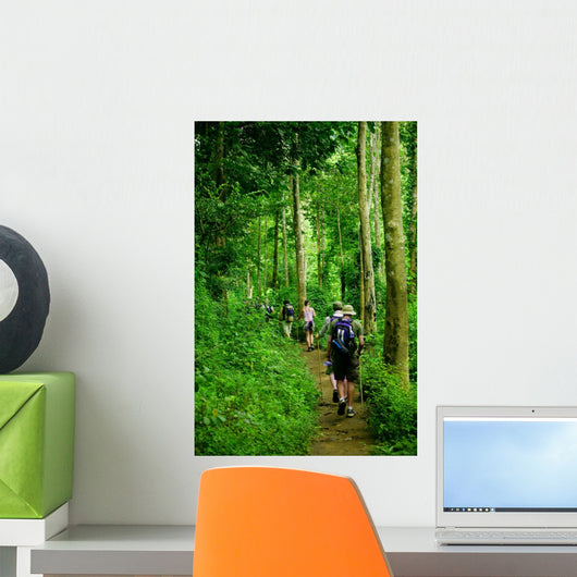 Jungle trek Wall Mural