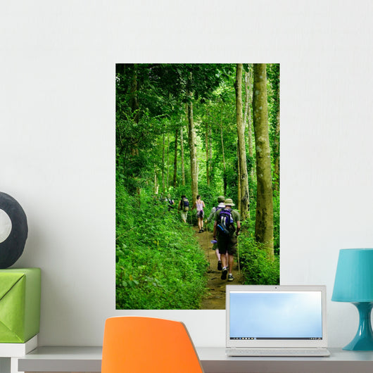 Jungle trek Wall Mural