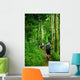 Jungle trek Wall Mural