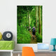 Jungle trek Wall Mural