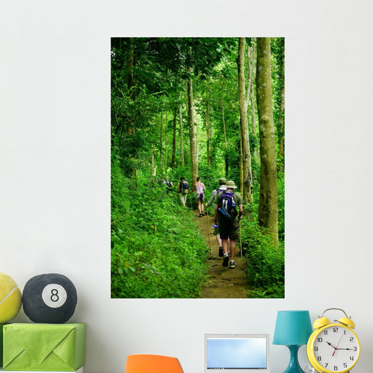 Jungle trek Wall Mural