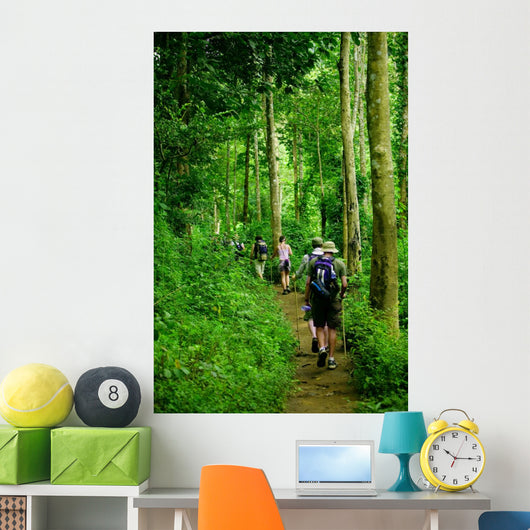 Jungle trek Wall Mural